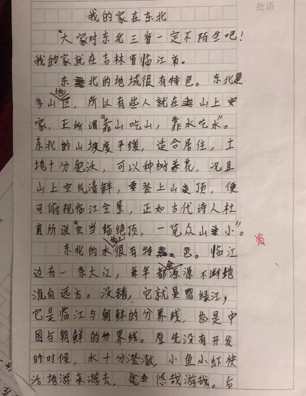 暑假过半，评了快一千篇作文，他给中学生12条写作文的建议 22
