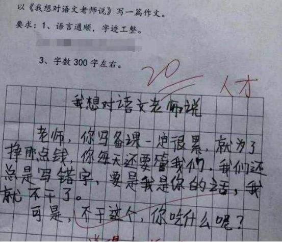 小学生“0分作文”火了,拐着弯骂老师,气坏老师:这孩子我不教了 2