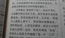 背影-关于亲情的作文900字