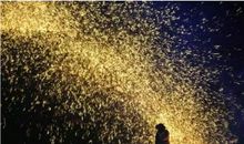 每一条小道就又有了烟火的味道-疫情诗歌