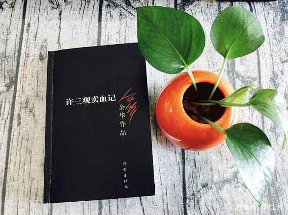 《许三观卖血记》读后感 1