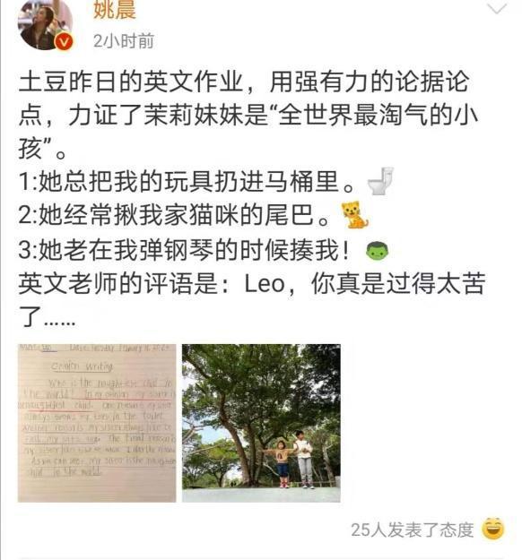 姚晨晒儿子英语作文,词汇量水平堪比上高中生,幸福家庭藏不住