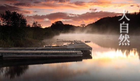 从此，我不再孤单作文