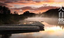 从此，我不再孤单作文