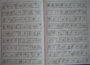 我的乐园作文550字
