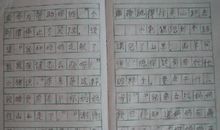 我的乐园作文550字