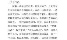 激烈的足球赛 记一次足球比赛作文500字