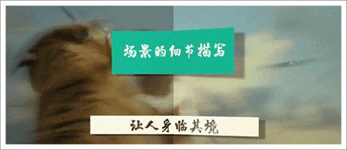 你让孩子进各种补习班，却对最好提分的作文刹了车 24