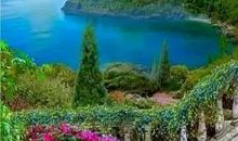 高考作文预测、优秀作文点评：《越便利越遥远》