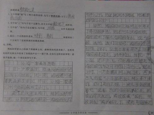 三年级下册作文例文范文集