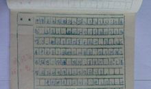 高三叙事作文：绿叶・情意_800字