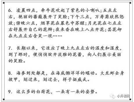 小学常见的50句拟人句，你写作文肯定用得上！