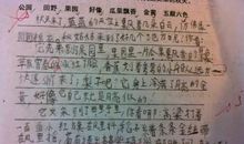 我心中的“海豚号”-优秀想象作文600字