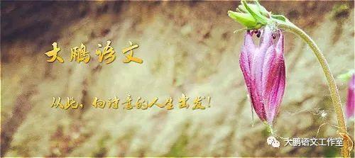 「作文备考」李开心:追寻爱的脚步