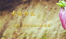 「作文备考」李开心：追寻爱的脚步