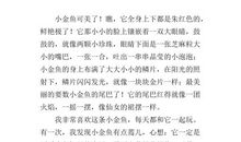 小金鱼 四年级小动物作文400字