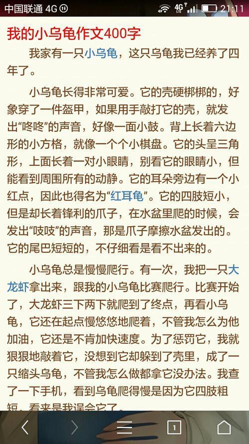 淘气的小乌龟 描写小乌龟的作文500字