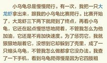 淘气的小乌龟 描写小乌龟的作文500字