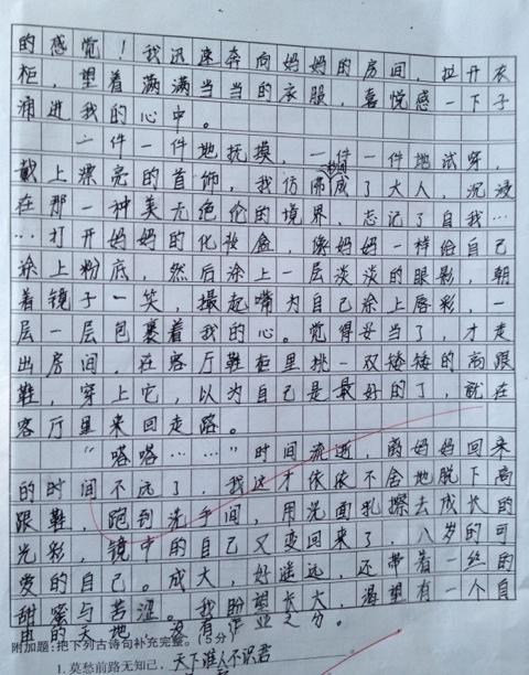 盼望 我的盼望作文600字