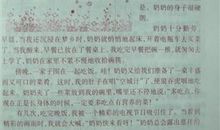 我奶奶 我的奶奶作文1100字