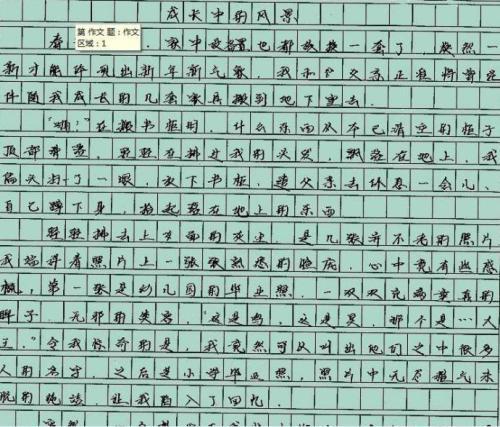 言传身教 高一作文900字