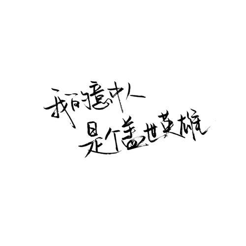 我的“盖世英雄” 心中最可爱的人作文1200字