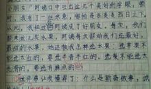 她 初一记事作文400字