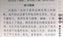 虽然我做的只是一个梦作文350字