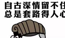 教育思考：作文的套路是怎么来的?