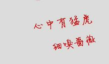 心有猛虎，细嗅蔷薇 高一作文800字