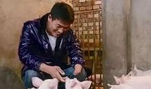 我的爸爸是养猪的 ! (满分作文)