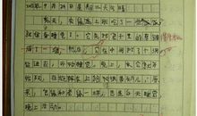 我喜欢... 小学生日记四则