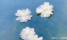 中学语文，素材来源于生活没错，但作文必须精心选择苦心经营