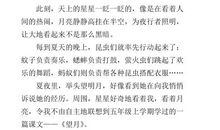 夏天的夜晚-关于夏天的作文500字