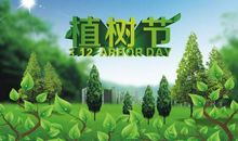 植树节-难忘的植树活动日记600字