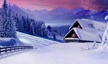 五年级作文：雪中即景