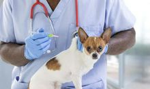 最新中学生作文点评：《敬畏自然》