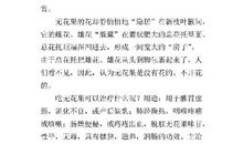 无花果的自述作文