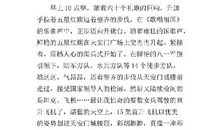 中国人的年作文