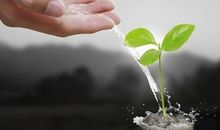 优美段落：生命是一枝铅笔_400字