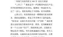 特别的寒假 三年级优秀记叙文400字