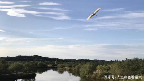 中学语文,素材来源于生活没错,但作文必须精心选择苦心经营 1