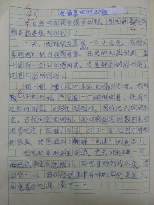 悠悠沭河-关于变化的作文1500字