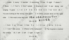 小升初英语作文：Happy Holiday_350字