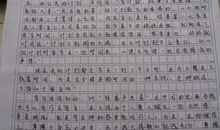 醉 高中生叙事作文1000字