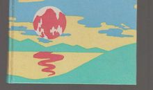 我是红领巾 小学生日记4则