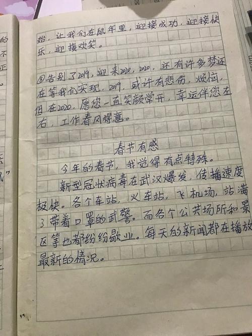 【温暖】松潘：10岁儿子两篇作文让一线父母流泪 1