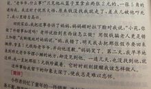 【作文范文】关于鸟的作文8篇200205