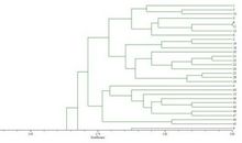 基于灰色聚类的机场跑道侵入人为风险综合评价浅析论文