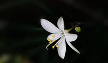 高考作文辅导32：秉承奋斗精神，谱写青春华章